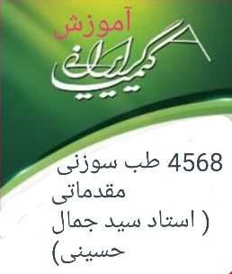 4568 طب سوزنی مقدماتی به همراه کارگاه حضری ( استاد سید جمال حسینی )