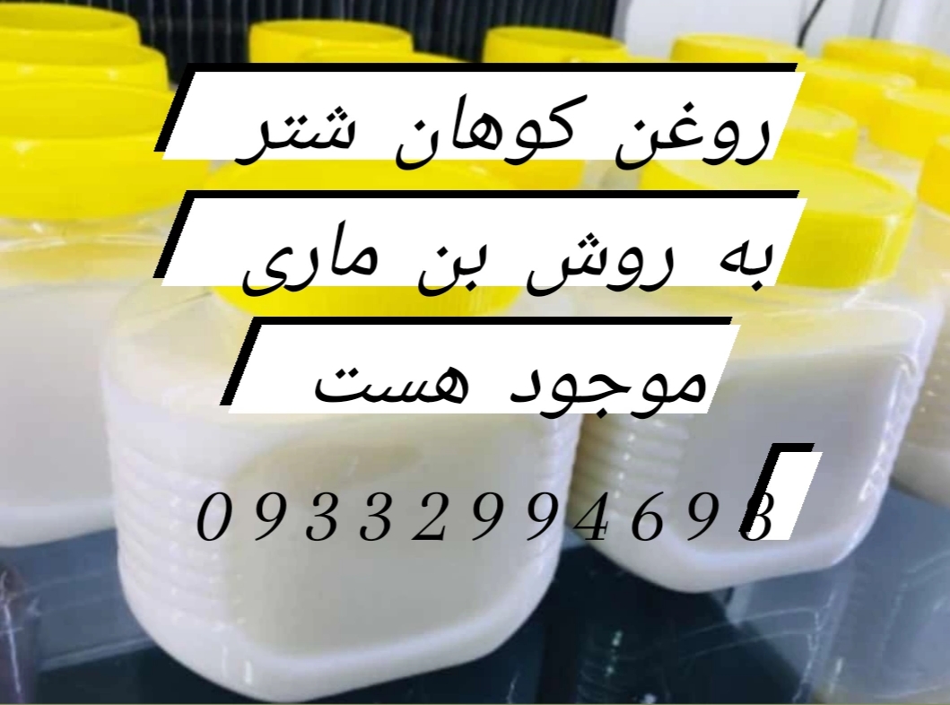 کوهان شتر کیلویی 