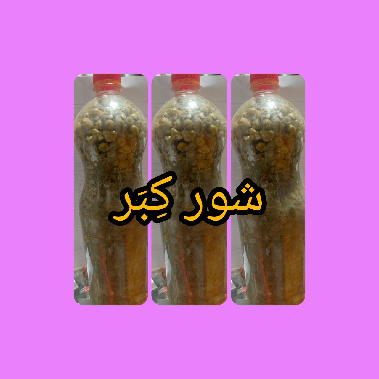 شور کبر